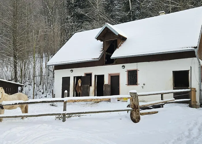 Holiday Home Stárkov *